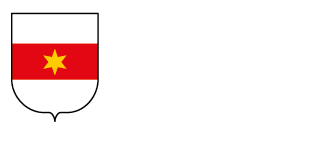 Città di Bolzano