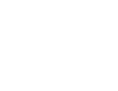 IDM